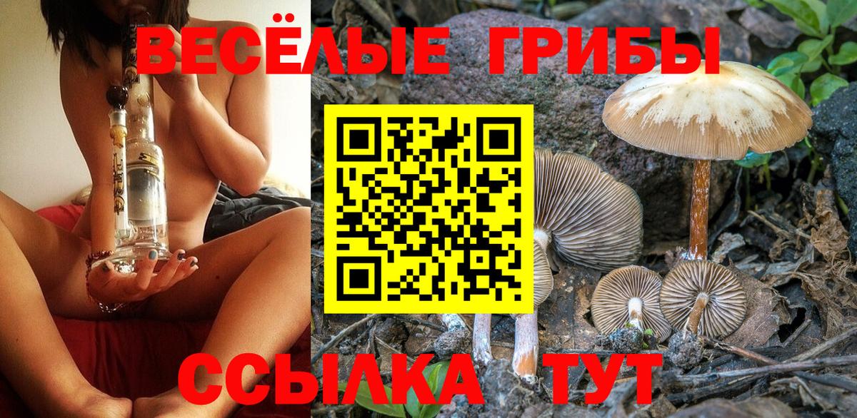 Псилоцибиновые грибы прущие грибы Кинешма