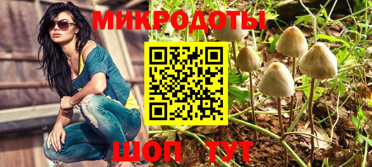 Псилоцибиновые грибы GOLDEN TEACHER  Вход с VPN  Кинешма 